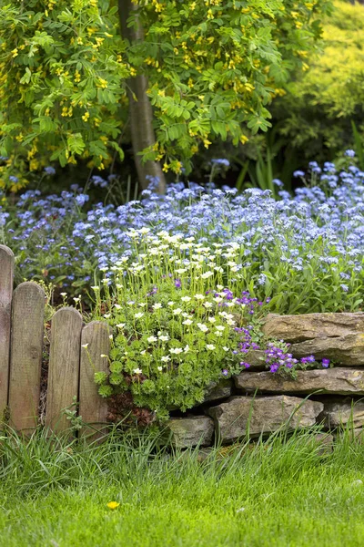 Hermoso Jardín Primavera Belleza Naturaleza — Foto de Stock