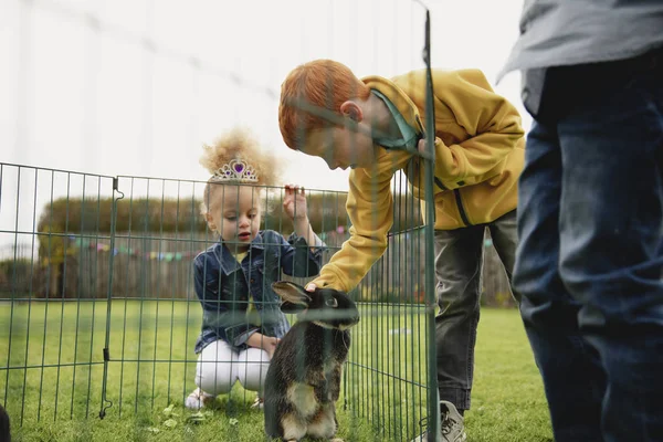 Inme Bir Tavşan Kafesi Çitin Üzerinden Eğilerek Genç Çocuğun Düşük — Stok fotoğraf