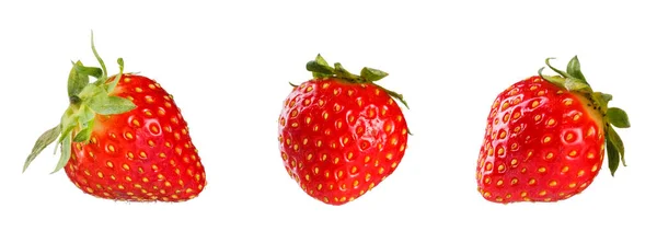 收集新鲜草莓 因白人背景而被隔离 — 图库照片
