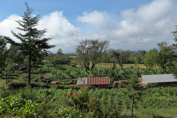 Landbouw Dorpen Tanzania — Stockfoto