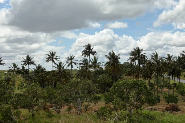 Nature Paysages Tanzanie — Photo