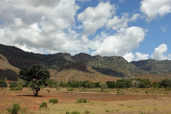 Příroda Krajiny Tanzanii — Stock fotografie