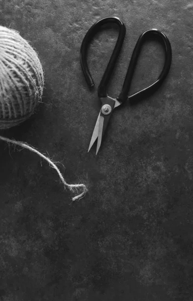 Ретро Флористичні Ножиці Деталями Грубого Вафля Сірому Фоні Простором Копіювання — стокове фото