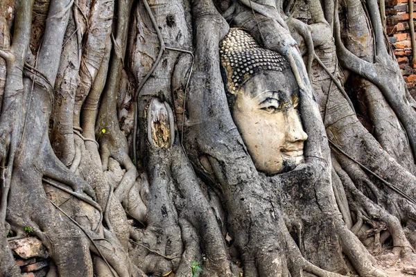 タイのアユタヤ歴史公園のワット マハートの木の根に古代の仏像の頭 — ストック写真