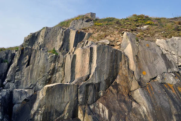 Côté Mer Primrose Tregastel Avec Une Atmosphère Paradisiaque — Photo