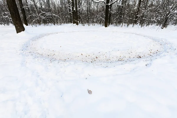 Circle Path Trodden Snow Meadow Oak Grove Winter Twilight — Stock Photo, Image