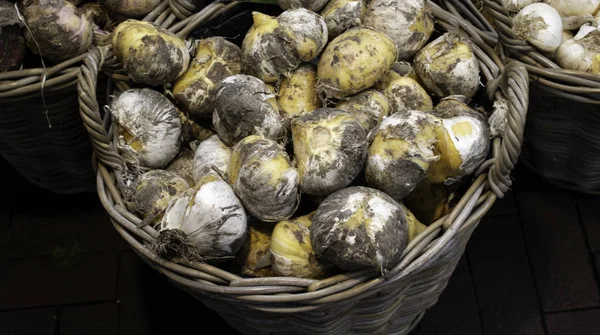Zwiebeln Auf Dem Markt Details Von Pflanzen Und Samen — Stockfoto