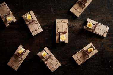 Many cocked spring wooden bar mouse traps loaded with cheese, viewed from above on dark wooden surface background clipart