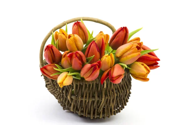 Los Tulipanes Cesta Día Madre —  Fotos de Stock