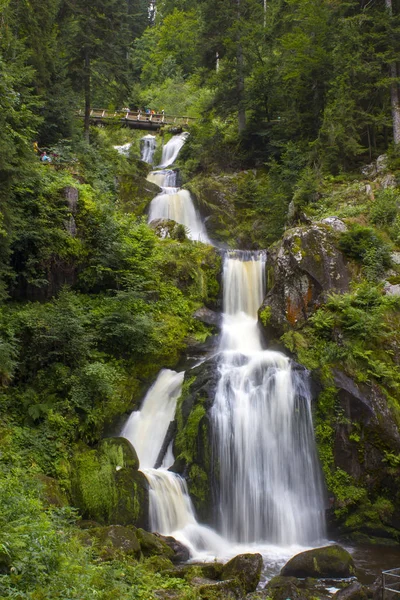 Triberg Falls Uma Das Mais Altas Cachoeiras Alemanha Região Floresta — Fotografia de Stock