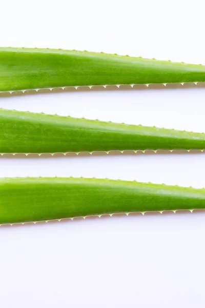 Aloe Vera Friss Levelek Fehér Háttér — Stock Fotó