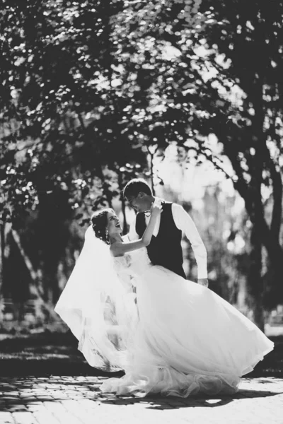 Das Brautpaar Hintergrund Des Parks — Stockfoto