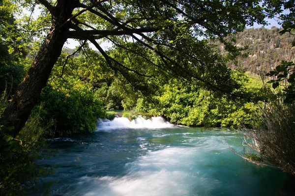 Krka Ulusal Parkı Hırvatistan Dalmaçya Kentindeki Ulusal Parklardan Biri — Stok fotoğraf