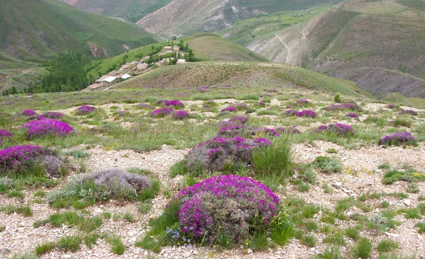 Vacker Utsikt Över Naturen Landskap — Stockfoto