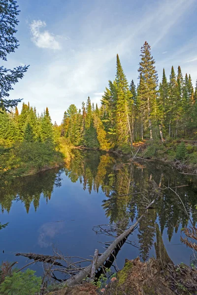 オンタリオ州のアルゴンキン州立公園の森林ストリーム内の穏やかな反射 — ストック写真