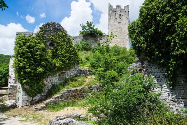 Dvigrad Una Ciudad Medieval Abandonada Centro Istria Croacia —  Fotos de Stock