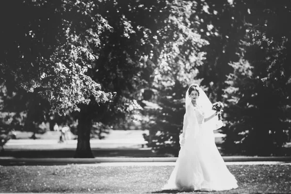 Die Schöne Brünette Braut Bei Einem Spaziergang Park — Stockfoto