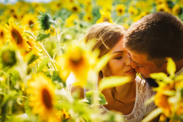 Braut Und Bräutigam Vor Dem Hintergrund Eines Sonnenblumenfeldes — Stockfoto