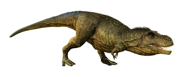 Rendering Dinosauro Tyrannosaurus Rex Isolato Sfondo Bianco — Foto Stock