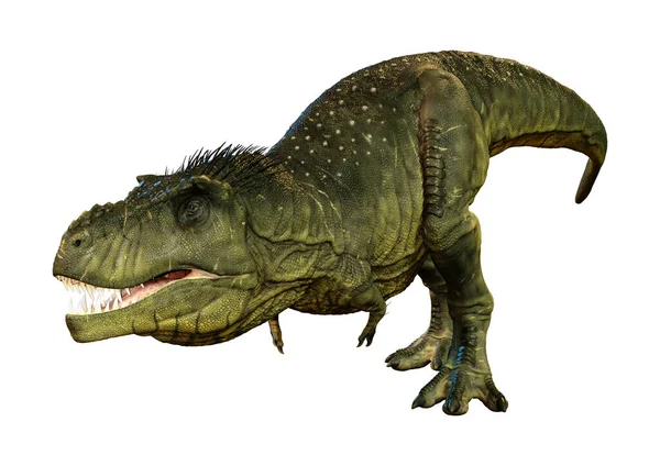 Renderowanie Dinozaura Tyranozaura Rex Izolowany Białym Tle — Zdjęcie stockowe