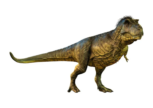 Rendering Dinosauro Tyrannosaurus Rex Isolato Sfondo Bianco — Foto Stock