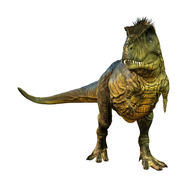 Renderelés Egy Dinoszaurusz Tyrannosaurus Rex Izolált Fehér Alapon — Stock Fotó