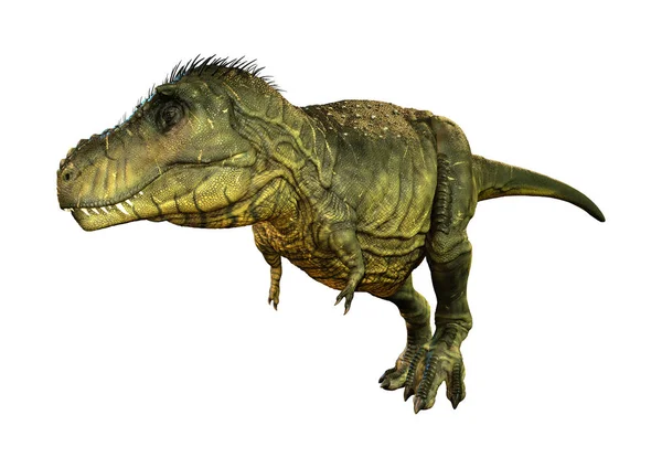 Återgivning Dinosaurie Tyrannosaurus Rex Isolerad Vit Bakgrund — Stockfoto