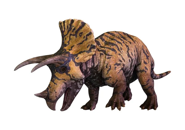 Рендерінг Динозаврів Triceratops Ізольовані Білому Тлі — стокове фото