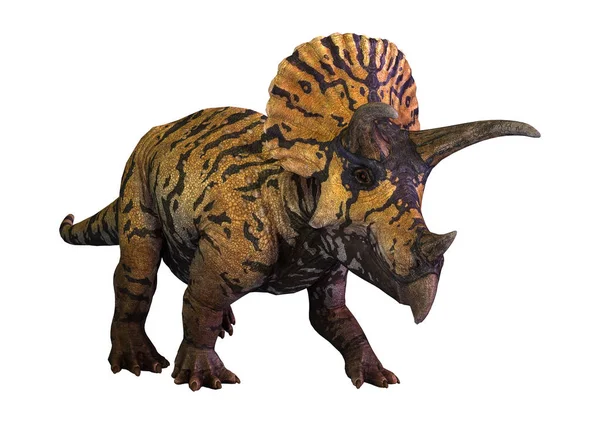 Weergave Van Een Dinosaurus Die Triceratops Geïsoleerd Witte Achtergrond — Stockfoto