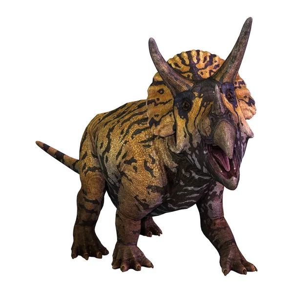 Renderização Dinossauro Triceratops Isolado Fundo Branco — Fotografia de Stock