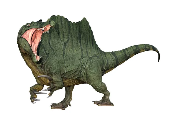 Spinosaurus Beyaz Arka Plan Üzerinde Izole Bir Dinozor Render — Stok fotoğraf