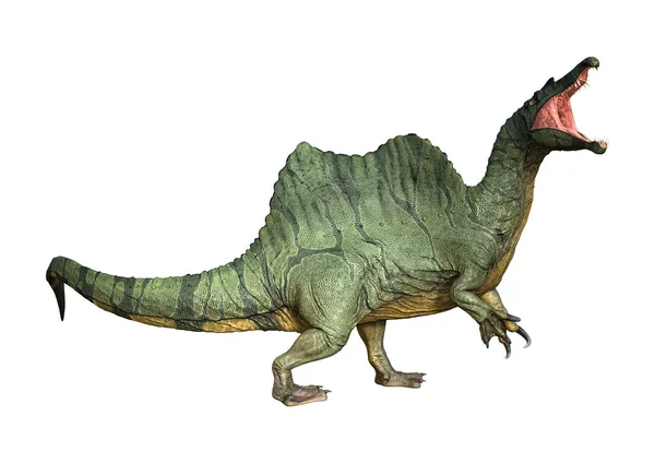 Renderização Dinossauro Spinosaurus Isolado Fundo Branco — Fotografia de Stock