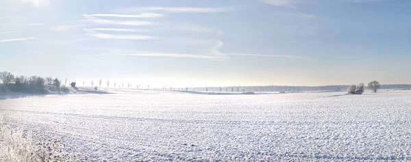 Wide Winter Landscape Lowland — 图库照片