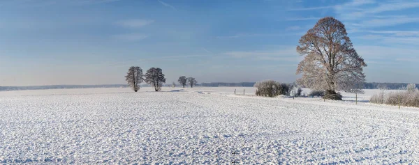 Weite Winterlandschaft Der Tiefebene — Stockfoto