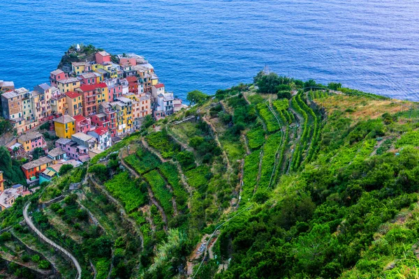 Picturesque Town Manarola Province Spezia Liguria Italy — Stock Photo, Image