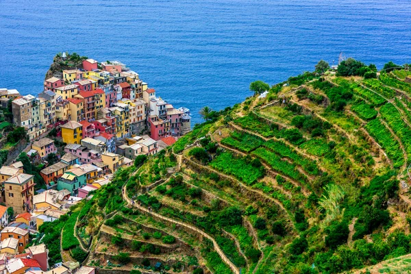 Pittoreska Staden Manarola Provinsen Spezia Ligurien Italien — Stockfoto