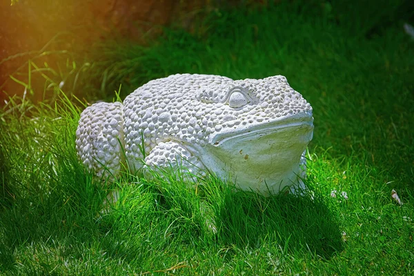 Открытая Статуя Белой Лягушки Грасе — стоковое фото