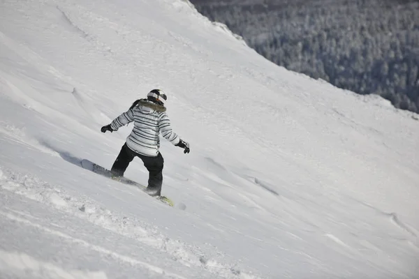 Snowboard Femme Course Descente Freeride Sur Neige Poudreuse Saison Hiver — Photo