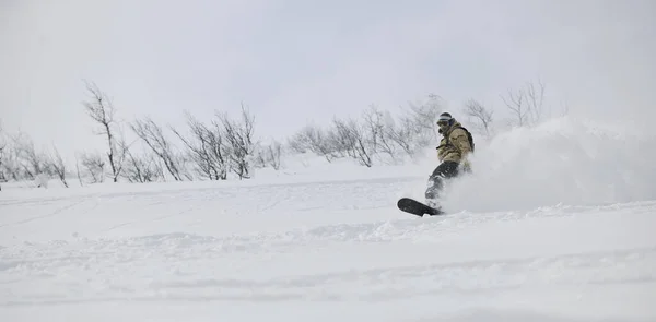 Freestyle Snowboarder Άλμα Και Βόλτα Ελεύθερο Στυλ Ηλιόλουστη Μέρα Του — Φωτογραφία Αρχείου