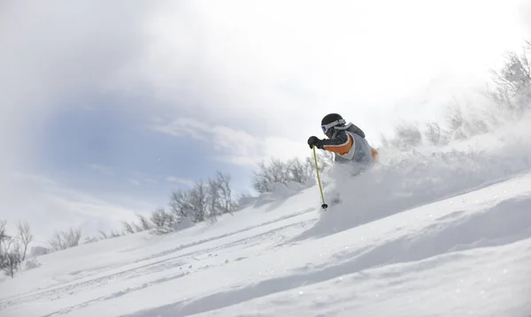 Man Ski Gratis Afdaling Het Winterseizoen Mooie Zonnige Dag Poeder — Stockfoto