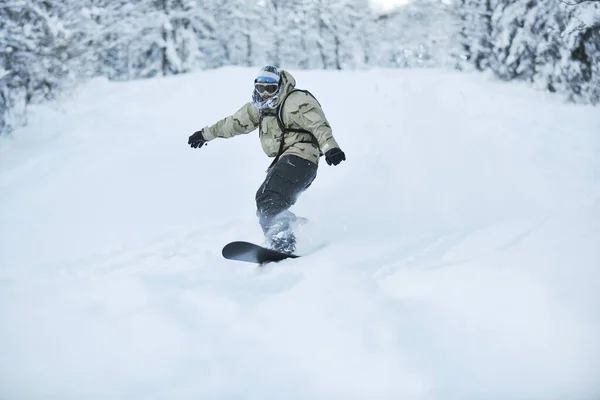 Snowboarder Freestyle Sauter Rouler Style Libre Journée Ensoleillée Hiver Sur — Photo