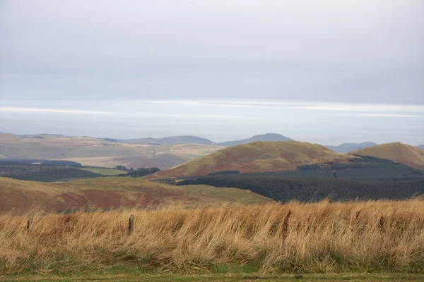 Panoramische Farbenfrohe Landschaft Der Schottischen Grenze Bewölktem Ambiente — Stockfoto