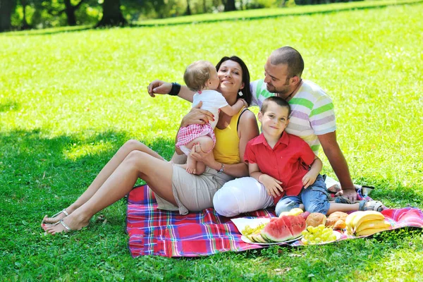 Feliz Pareja Joven Con Sus Hijos Divertirse Hermoso Parque Aire — Foto de Stock