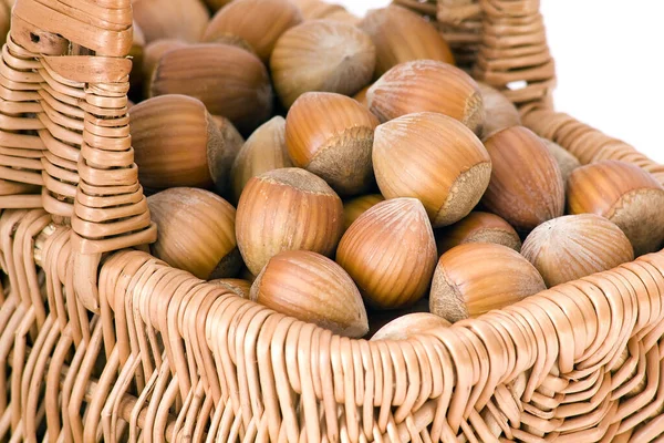 Korb Voller Haselnüsse — Stockfoto