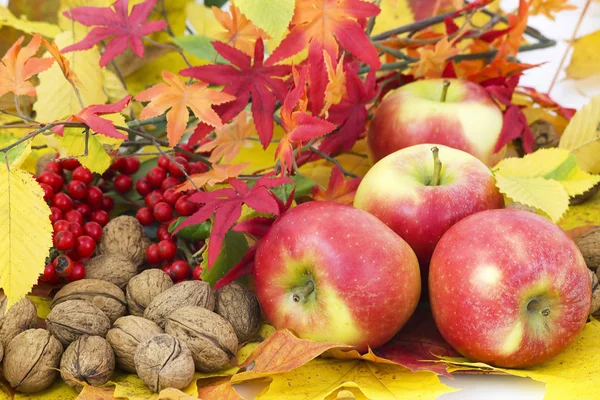 Arrangement Des Feuilles Automne Des Pommes Rouges Des Noix — Photo