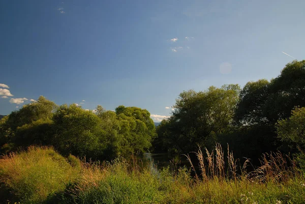 Nehirde Sessizlik Nikon D80 — Stok fotoğraf