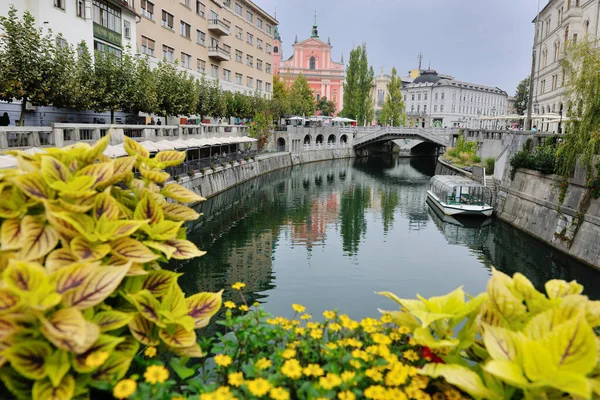 Ciudad Liubliana Capital Eslovenia Con Puente Viejo Flor Río — Foto de Stock