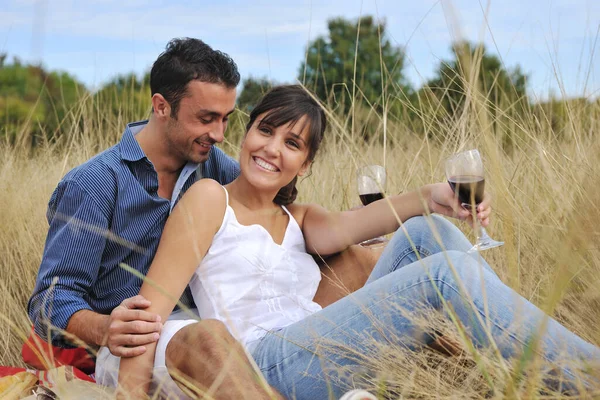 Happy Young Couple Enjoying Picnic Countryside Field Have Good Time Royalty Free Stock Images