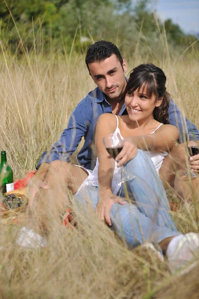 Happy Young Couple Enjoying Picnic Countryside Field Have Good Time Royalty Free Stock Images