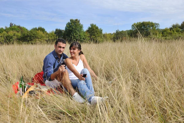 Happy Young Couple Enjoying Picnic Countryside Field Have Good Time Stock Picture